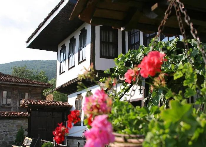 Sava Cupetsa ז'רבנה